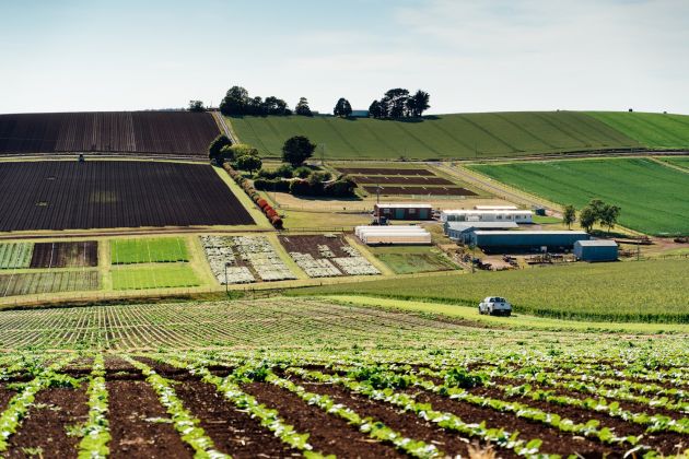 Thumbnail for Ag tech developments to help farmers improve soil health