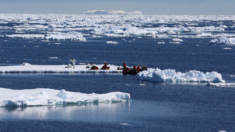 Thumbnail for New leader for Antarctic research program