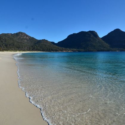 Thumbnail for On the map: new portal to support Tasmanian marine planning decisions